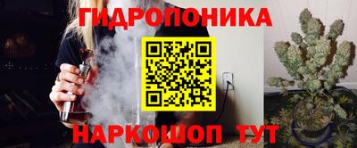 2c-b Кингисепп