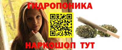 бошки Кимры