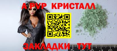 2c-b Кингисепп
