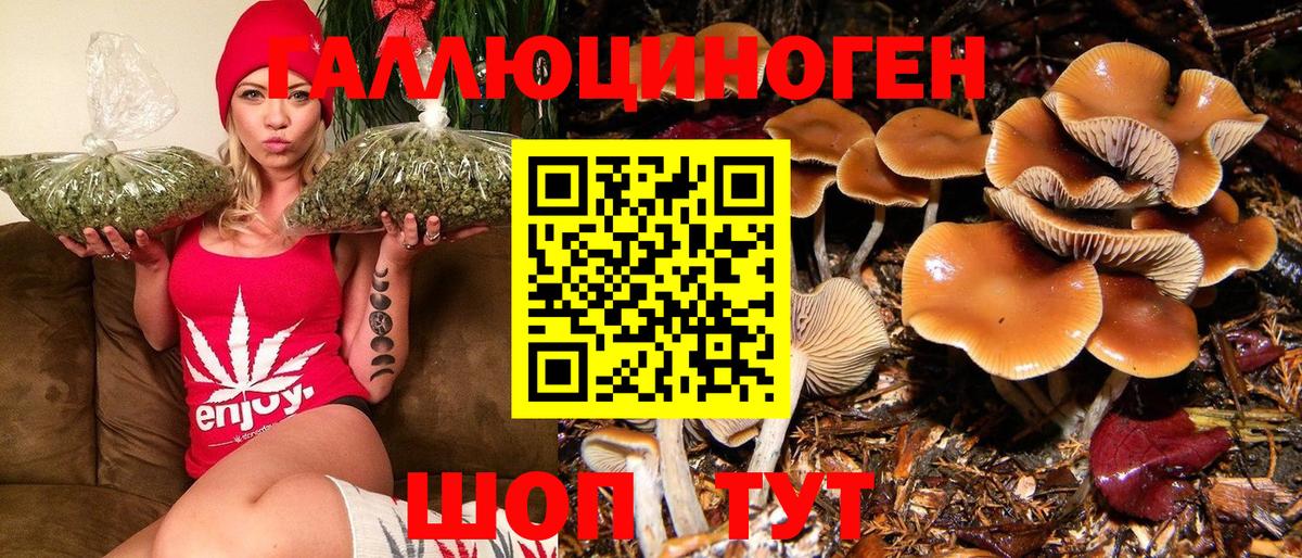 Коряжма  наркошоп  Вход с VPN  Псилоцибиновые грибы Psilocybine cubensis 