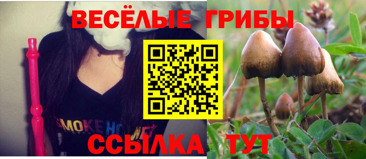 Галлюциногенные грибы прущие грибы Коряжма